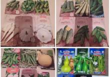 Dekorativ qızılgüllər