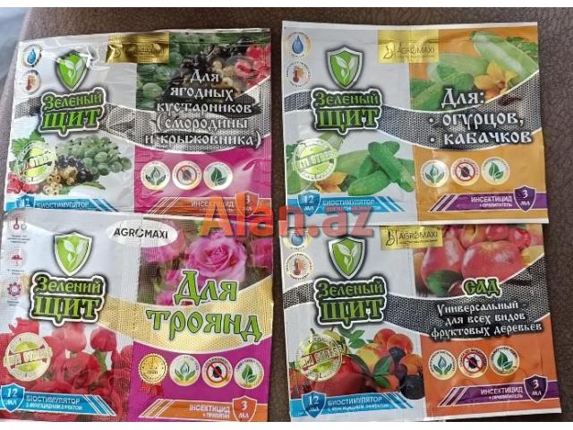 Dekorativ qızılgüllər