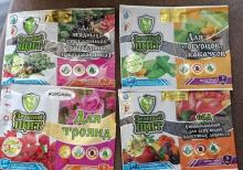 Dekorativ qızılgüllər