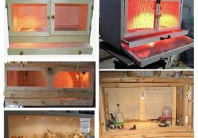 Cücə üçün Bruder. Toyuq Hini