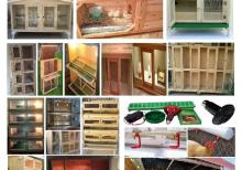 Cücə üçün Bruder. Toyuq Hini