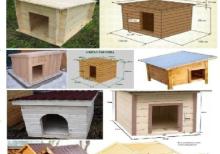 Cücə üçün Bruder. Toyuq Hini