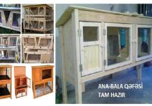 Cücə üçün Bruder. Toyuq Hini