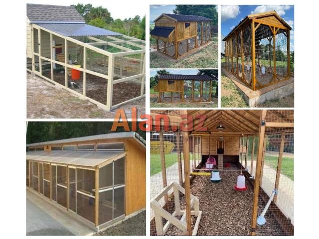 Cücə üçün Bruder. Toyuq Hini