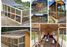 Cücə üçün Bruder. Toyuq Hini