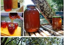 Bal və Arı məhsulları