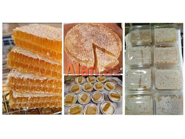 Bal və Arı məhsulları