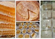 Bal və Arı məhsulları