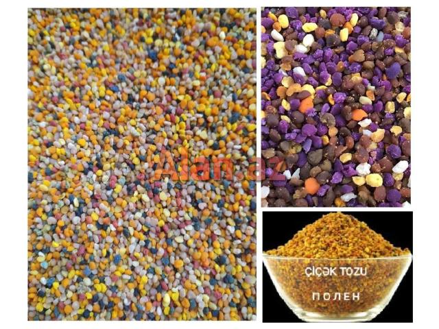 Bal və Arı məhsulları