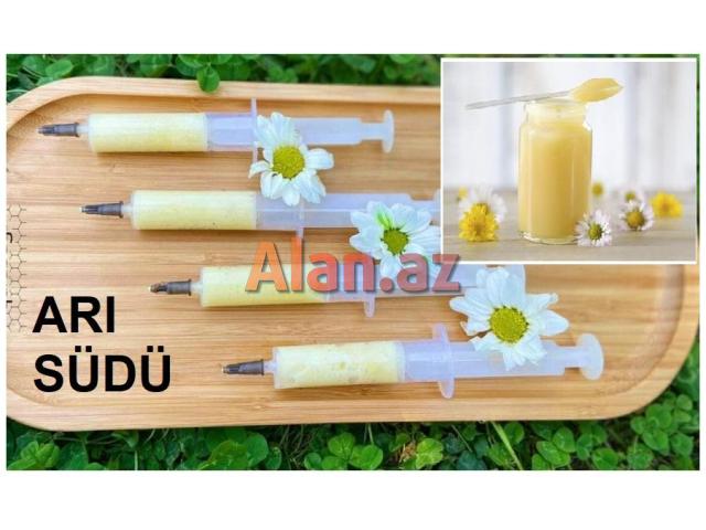 Bal və Arı məhsulları