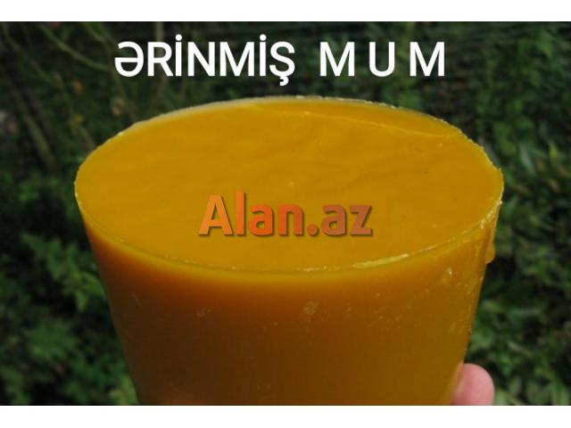 Bal və Arı məhsulları