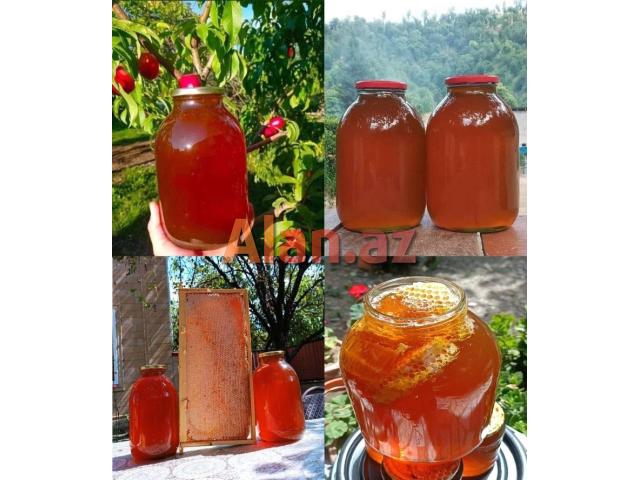 Bal və Arı məhsulları