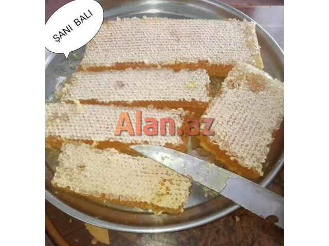 Bal və Arı məhsulları