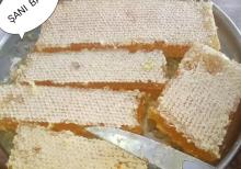 Bal və Arı məhsulları