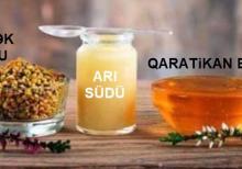 Bal və Arı məhsulları