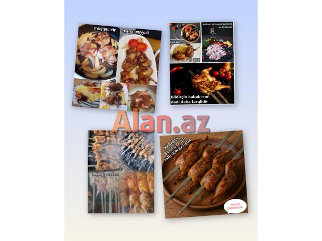 Bildirçin Kampaniya