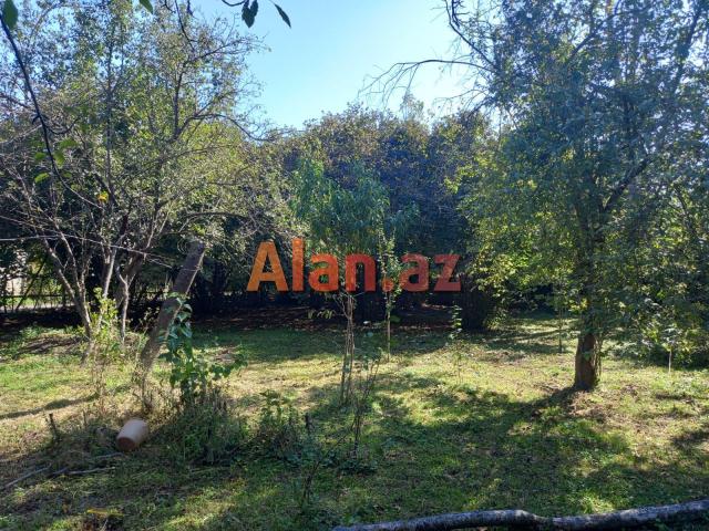 Qax rayonunda bağ evi