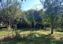 Qax rayonunda bağ evi