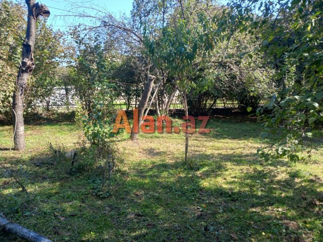 Qax rayonunda bağ evi