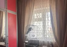 Kohne Gunesli qes. 4 Mertebeli Villa Tecili olaraq Esyalarla birge satılır.