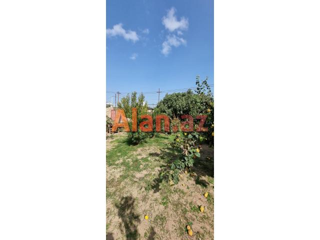 Albalıda bağ evi satılır