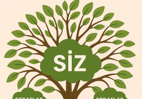 Sabit internetlə işləyərək aylıq gəlir qazan!”