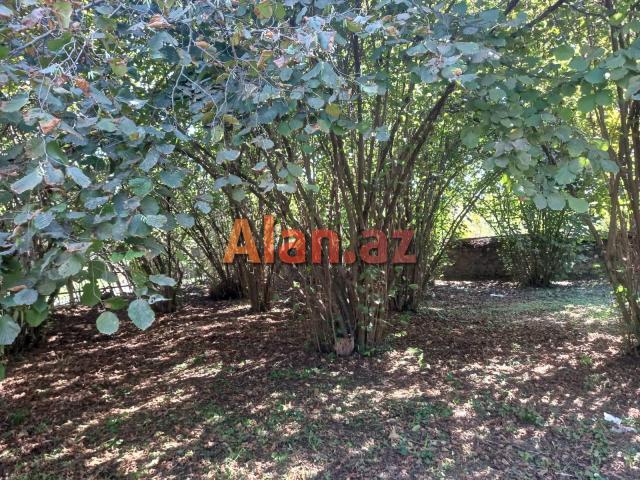 Qax rayonunda bağ evi