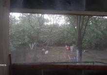 Qax rayonunda bağ evi