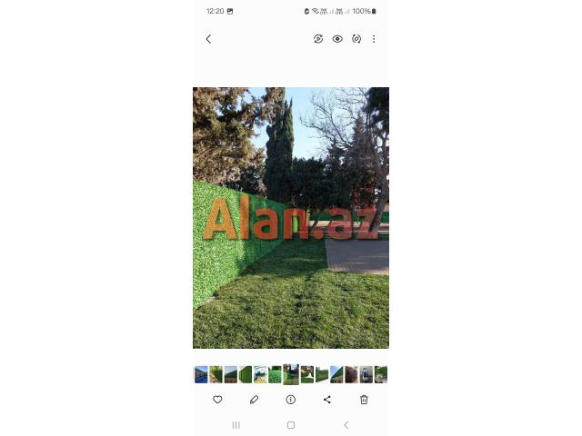 Yaşıl hasar -setka qazon-çim çit-