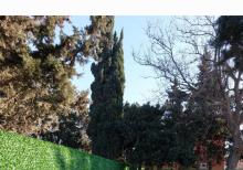 Yaşıl hasar -setka qazon-çim çit-