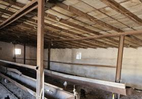 Fermer təsərrüfatı satılır