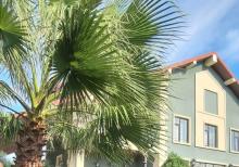 Mərdəkan yolunda villa satılır