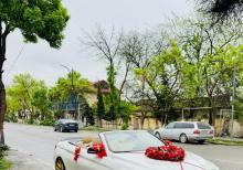 bmw cabrio kabriolet bey gelin toy masini sifarisi