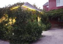 Buzovnada bağ evi satılır