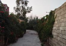 Buzovnada bağ evi satılır