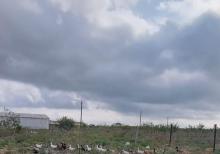 Buzovnada torpaqi satılır