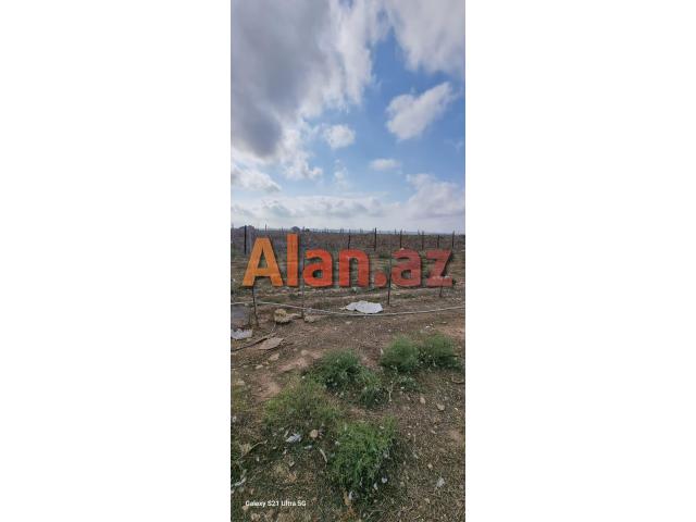 Buzovnada torpaqi satılır