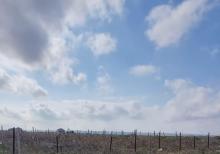 Buzovnada torpaqi satılır