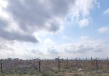 Buzovnada torpaqi satılır