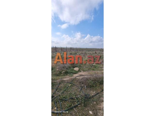 Buzovnada torpaqi satılır