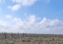 Buzovnada torpaqi satılır