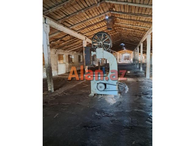 Ağac emalı üçün dəzgah