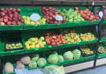 Meyve tərəvəz dukani hazir biznes kimi satilir