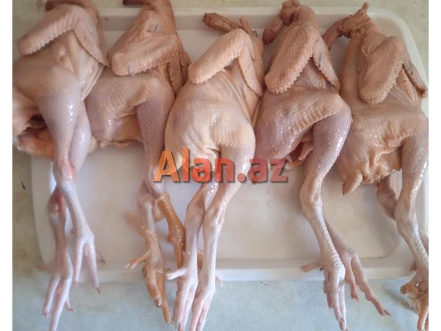 Çolpa əti kampaniya