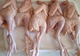 Çolpa əti kampaniya