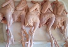 Çolpa əti kampaniya