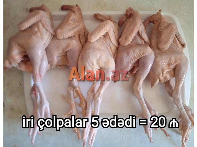 Çolpa əti kampaniya