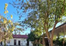 Buzovnada bağ evi satılır