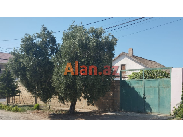 Torpaq Sahesi Sumqayit Corat qesebesi