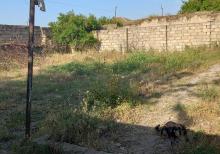 Bilgəhdə həyət evi satilir